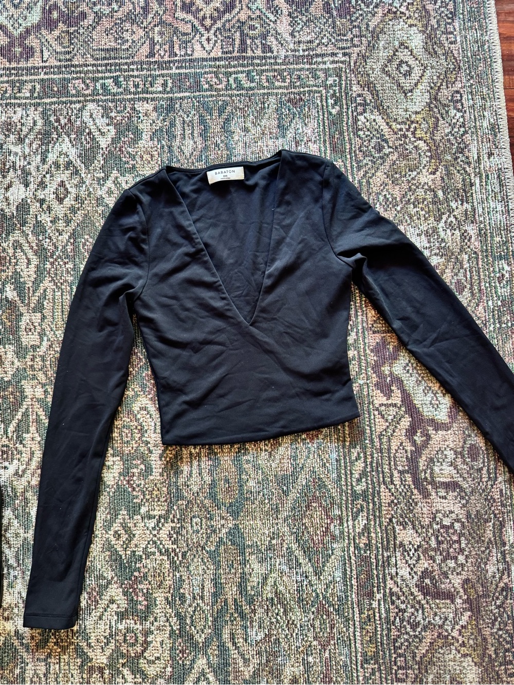 Aritzia/ Babaton Contour Deep V-Neck Long Sleeve Crop Top